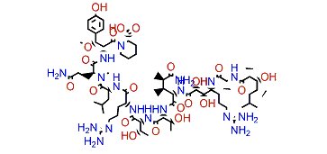 Callipeltin P